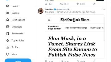 Elon Musk niega haber compartido un artículo, pero borró el tuit que incluía el enlace.