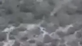 Enfrentamiento entre cárteles