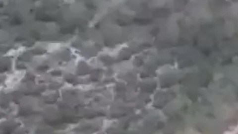Enfrentamiento entre cárteles