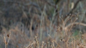 Escena del crimen en México