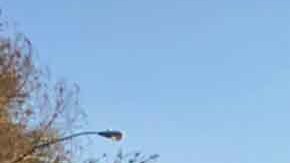 La policía detuvo de inmediato a una señora que se pasó de bravucona