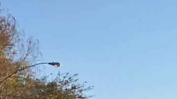 La policía detuvo de inmediato a una señora que se pasó de bravucona