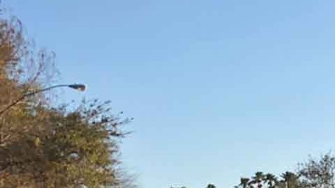 La policía detuvo de inmediato a una señora que se pasó de bravucona