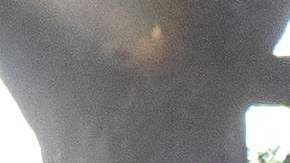 Estados Unidos expulsará migrantes venezolanos a México y solo dará entrada humanitaria a 24,000