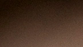 Estudio revela que los perros pueden oler el estrés de los humanos