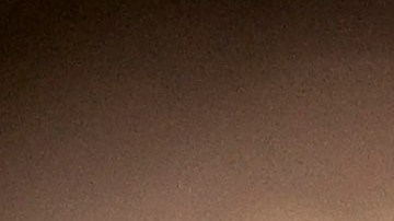 Estudio revela que los perros pueden oler el estrés de los humanos