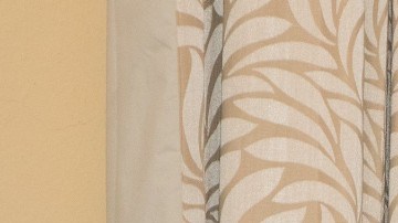 Exalcalde de Zinacantepec