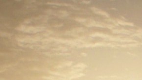 Exmaestra embarazada de alumno ahora quiere subastarse su cuerpo como madre sustituta para 'producir bebés bonitos'