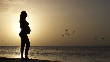 Exmaestra embarazada de alumno ahora quiere subastarse su cuerpo como madre sustituta para 'producir bebés bonitos'