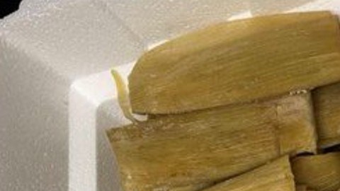 Fentanilo oculto en tamales