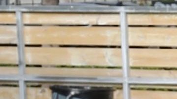 Francisca de Despierta América se lució con un baile pero terminó en el piso.