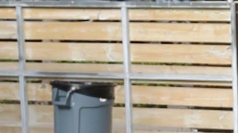 Francisca de Despierta América se lució con un baile pero terminó en el piso.