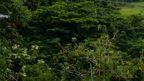 Frontera entre México y Guatemala