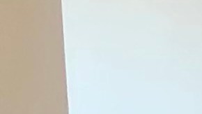 Ayuda financiera para inquilinos de CD13. (Suministrada)