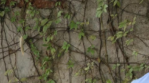 Funcionario de Culiacán con instrumento en forma de fusil