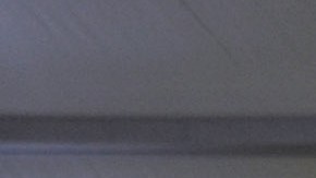 CIA se une a plan para revivir al mamut lanudo y otros animales extintos