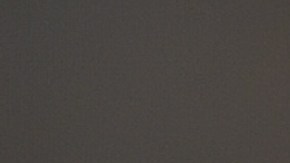 El español ya ha trabajado con el Rebaño Sagrado.