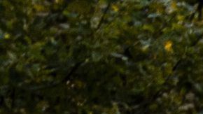 Una grúa en la pista de Suzuka desató la furia de varios pilotos.