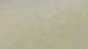 Albert Celades, entrenador español.