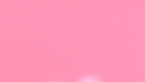 La influencer Lele Pons contó que estará ausente de redes sociales por unos días