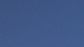 Los trabajadores agrícolas continuaron su labor durante la pandemia sin recibir pago de estímulo por ello.