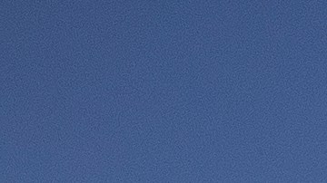 Los trabajadores agrícolas continuaron su labor durante la pandemia sin recibir pago de estímulo por ello.