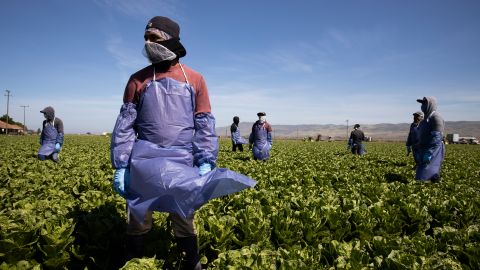 Los trabajadores agrícolas continuaron su labor durante la pandemia sin recibir pago de estímulo por ello.