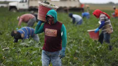 Dictan prisión a hispanos por crimen organizado al “esclavizar” a trabajadores agrícolas mexicanos en Florida