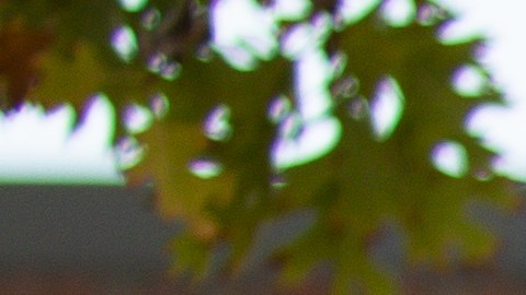 El voto temprano en Texas sobrepasó las expectativas en las elecciones de 2020.
