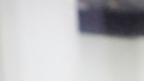 Seguidores de Trump también clamaron que hubo fraude electoral en Michigan en las elecciones de 2020.