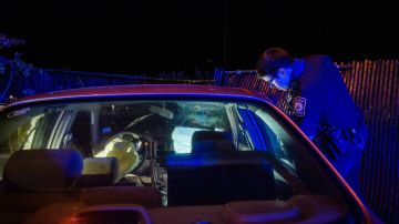 Escándalo en Fort Wayne; alcalde admite que bebió y condujo después de estar involucrado en un accidente automovilístico