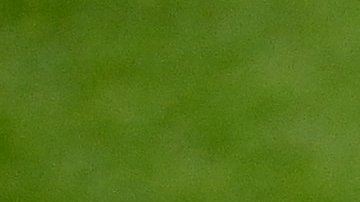 El francés intentó recuperarse de su rodilla derecha, pero sufrió una sobrecarga.