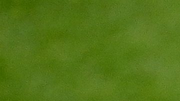 El francés intentó recuperarse de su rodilla derecha, pero sufrió una sobrecarga.