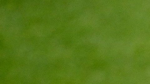 El francés intentó recuperarse de su rodilla derecha, pero sufrió una sobrecarga.