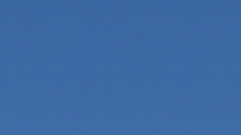 SpaceX
