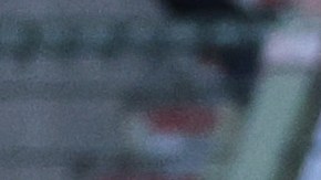 Selección de Polonia.