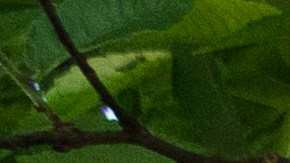 Defensores de la inmigración siguen pidiendo al Congreso que apruebe protecciones permanentes para los "dreamers".