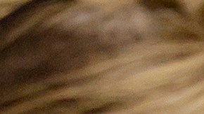 Pena de muerte o cadena perpetua, alistan veredicto contra Nikolas Cruz, autor de masacre en Parkland