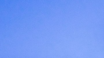 Elon Musk confirma que compró de la red social Twitter