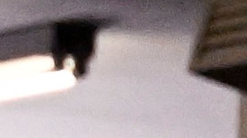 Saúl 'Canelo' Álvarez, boxeador mexicano.