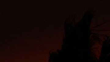 La Costa Oeste de EE.UU.  registrará más calor y frío durante el invierno.