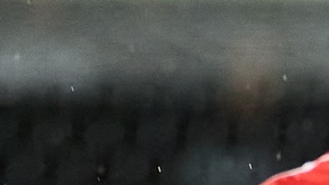 Diego Lainez