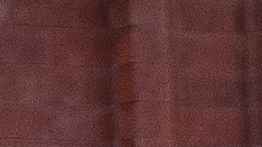 El derecho al aborto va a estar en la boleta electoral en algunos estados en noviembre.