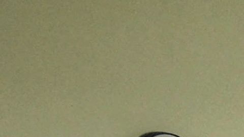 Suben a tres las muertes y 160 casos de leptospirosis en Puerto Rico tras huracán Fiona