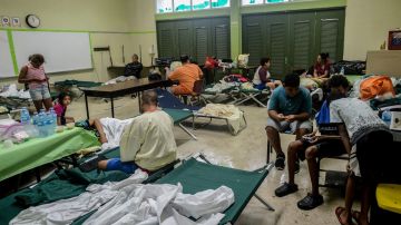 Suben a tres las muertes y 160 casos de leptospirosis en Puerto Rico tras huracán Fiona