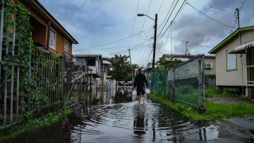 Puerto Rico confirma muerte por leptospirosis, causada por bacterias mortales en agua contaminada tras huracán Fiona