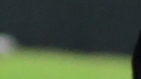 Las imágenes de la estampida le dieron la vuelta al mundo.