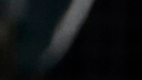 Aaron Judge conectó el pasado martes el cuadrangular 62 de la campaña.