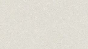 El presidente de Rusia Vladimir Putin cumple 70 años.