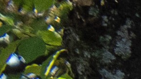 "Ahoga a esos niños": la televisora estatal rusa suspende a uno de sus presentadores por hacer expresiones contra menores ucranianos